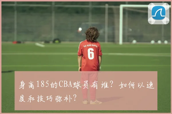 身高185的CBA球员有谁？如何以速度和技巧弥补？