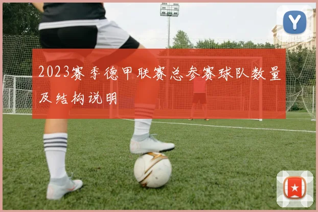 2023赛季德甲联赛总参赛球队数量及结构说明