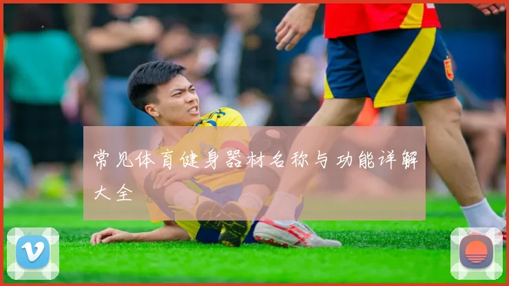 常见体育健身器材名称与功能详解大全