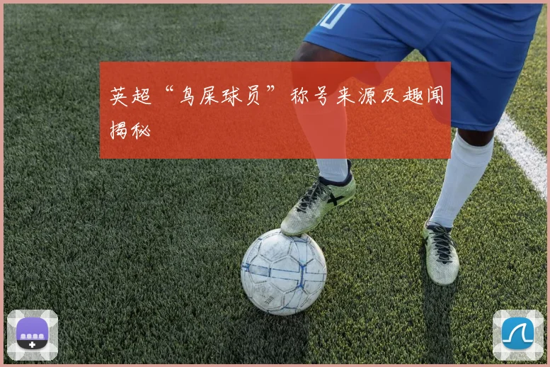 英超“鸟屎球员”称号来源及趣闻揭秘