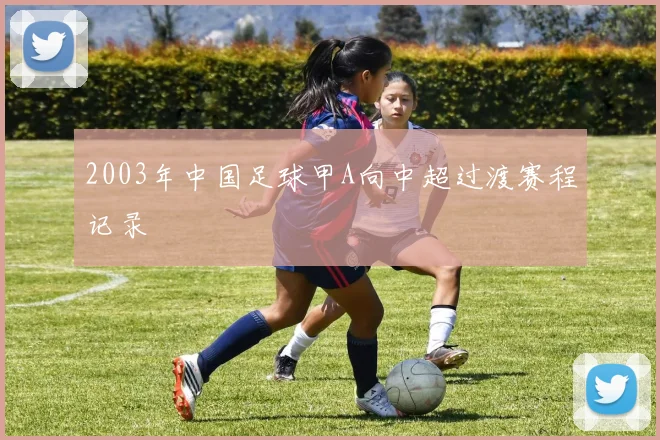 2003年中国足球甲A向中超过渡赛程记录