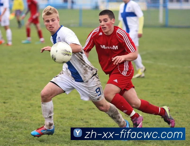 世界杯在线观看服务体系